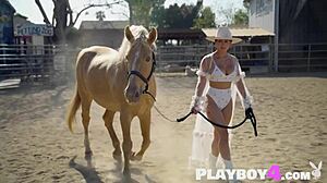 Big Tits Latina Babe Strips Rides Playboy