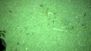 Perfect Candid Latina Prostitute Feet in Forest Heels Pt1 Slowmotion