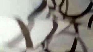 hotel fiesta latinas sheer red outfits complete sucking riding cowgirl missionary