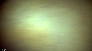 Fucking Daddy's Monster Cock in Tight Ebony Pussy While He Stretches Me Wide