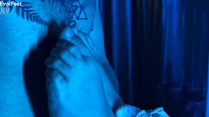 getting up close sniffing artemis' sweaty nylon feet toes