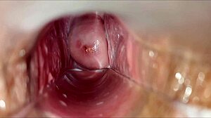 Vaginal Orgasm Close-Up Amateur Homemade