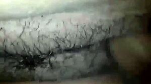 PENETRANDO SU CONCHA PELUDA SHEMALE STYLE