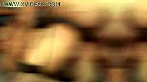 hey alexa lewis, triple penetration wrecked your ass with prolapse!