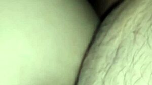 mexico's vibrant secrets blend tradition mystery and allure