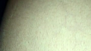 mexico's vibrant secrets blend tradition mystery and allure