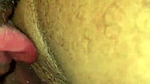 yellowbone hood chick cheats hard