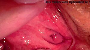 AMATEUR PINK PUSSY CLOSE UP 215 DAYS POST VIRGINITY LOSS!