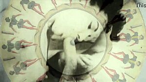 vintage silent films hairy beaver retro pussy tease