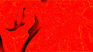 Ever wonder how this blindfolded amateur BBW milf deepthroats like a pro in homemade close-up?