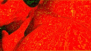 Ever wonder how this blindfolded amateur BBW milf deepthroats like a pro in homemade close-up?