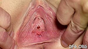 Teen Virgin Fingered Close-Up Before First Blowjob and Fuck Upload