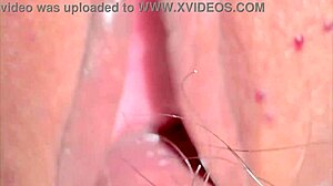 Amateur Wife's Shaved Pussy Close-Up 331 Days Post-Virginity