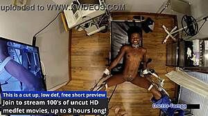 i slapped rina arem's shaved pussy in dr tampa backstage