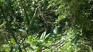 hey these three hotties sneak into the forest bushes ready to get wild with their big asses and hairy beavers