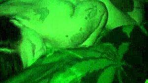 interracial moans drive wild fucking sessions