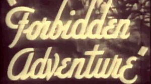 Vintage hairy pussy pounded doggystyle outdoors taboo