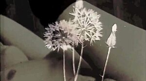 Vintage hairy pussy pounded doggystyle outdoors taboo