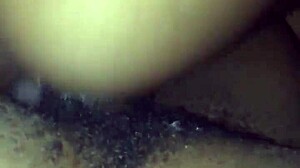 b girl begs for nut on her favorite big black cock