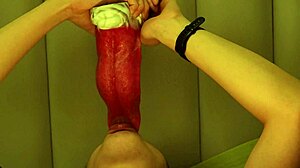 College guy deepthroats monster wolf cock with rough tongue invasion