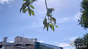Argued with boyfriend so i sucked another at the beach