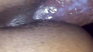 ebony girlfriend's creamy pussy stretched by bbc doggystyle