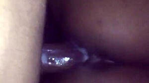 ebony girlfriend's creamy pussy stretched by bbc doggystyle
