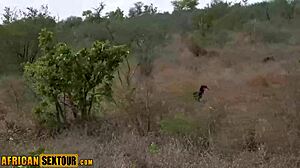 yo ebony teen, suck this cock outdoors then fuck public?