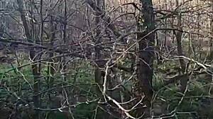 wanna hit the shops together i'll make it worth your while