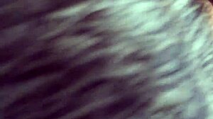 I love sucking this black shemale's monster cock