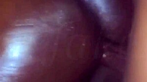 ebony bbw begs: fuck my fat ass harder on bbc?