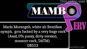 maria morango white alt brazilian nympho takes huge monster cock anal dirty no pussy stretch