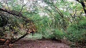 found this horny jungle babe... wanna hear her moan in clear hindi as i fuck her sloppy?