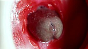 her anus explodes in big orgasm moaning wildly as sperm floods deep