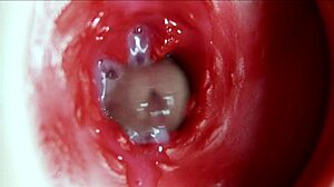 her anus explodes in big orgasm moaning wildly as sperm floods deep