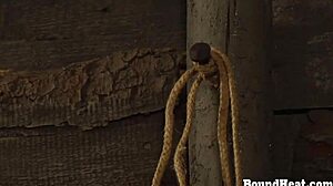 curvy lesbian slave bound and fingered hard by madame