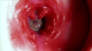 her anus explodes in big orgasm moaning wildly as sperm floods deep