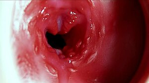 her anus explodes in big orgasm moaning wildly as sperm floods deep