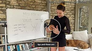Check different female pussy types up close
