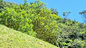 Blonde Emo Nudist Beach Fuck South Brazil