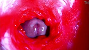 Extreme Close-Up Inside Pregnant Woman's Wet Pussy Orgasm