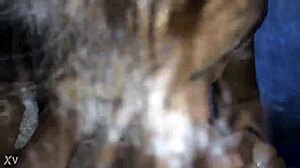 Beautiful Indian newlywed wife delivers sloppy blowjob to husband on wedding night cumshot