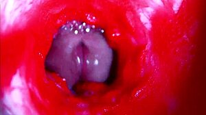 Extreme Close-Up Inside Pregnant Woman's Wet Pussy Orgasm