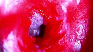 Extreme Close-Up Inside Pregnant Woman's Wet Pussy Orgasm