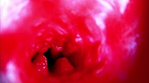 Extreme Close-Up Inside Pregnant Woman's Wet Pussy Orgasm