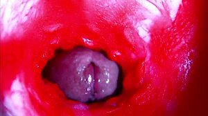 Extreme Close-Up Inside Pregnant Woman's Wet Pussy Orgasm