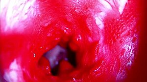 Extreme Close-Up Inside Pregnant Woman's Wet Pussy Orgasm