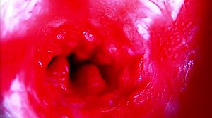 Extreme Close-Up Inside Pregnant Woman's Wet Pussy Orgasm