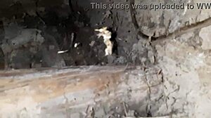 First Date Mouth Fuck In Abandoned House Lesbian Style