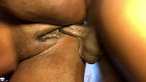 amateur couple breeds passionately in the kitchen this valentine